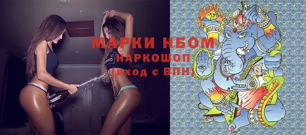 хмурый Абаза