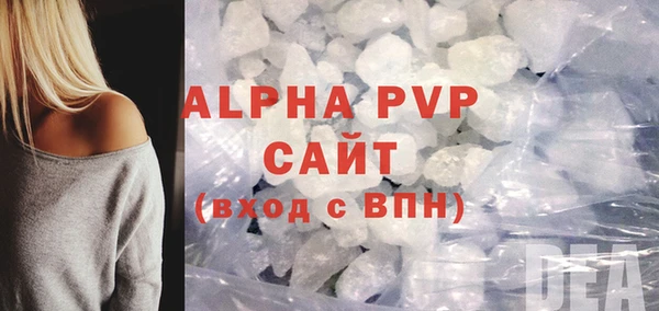 хмурый Абаза