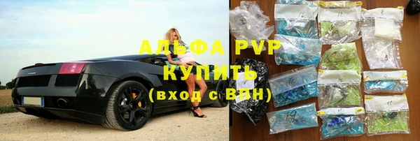 хмурый Абаза