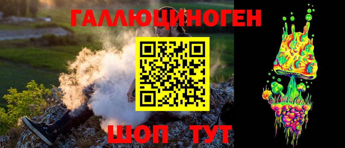 Абинск  Псилоцибиновые грибы Psilocybe  Вход с VPN 