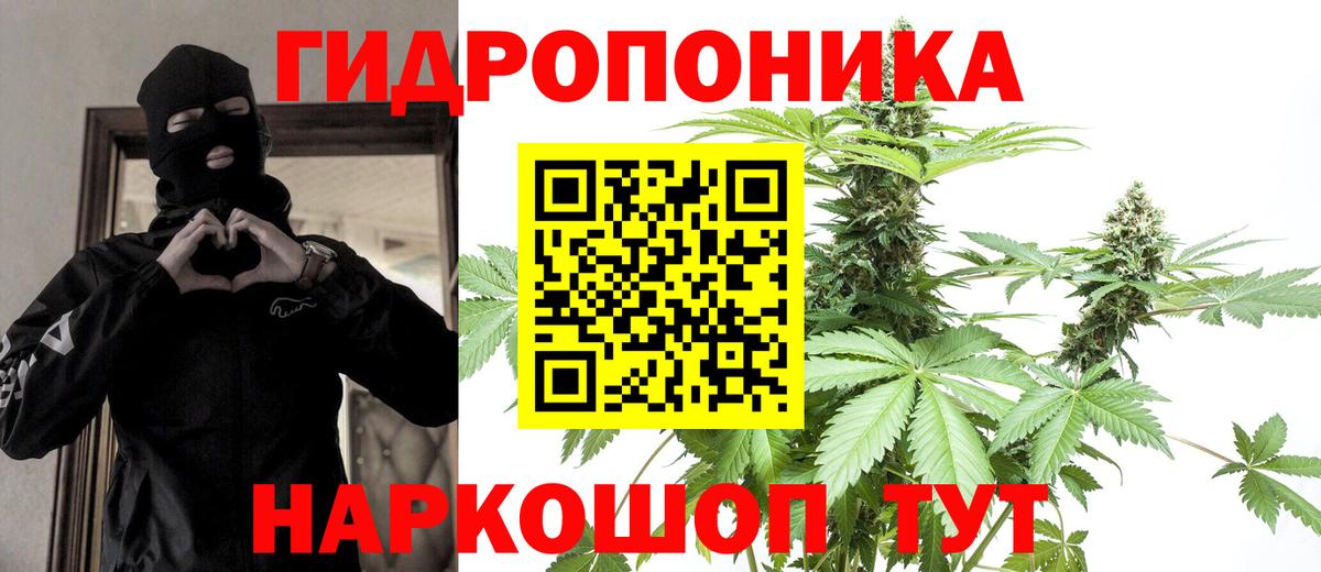 Канабис SATIVA & INDICA Абинск